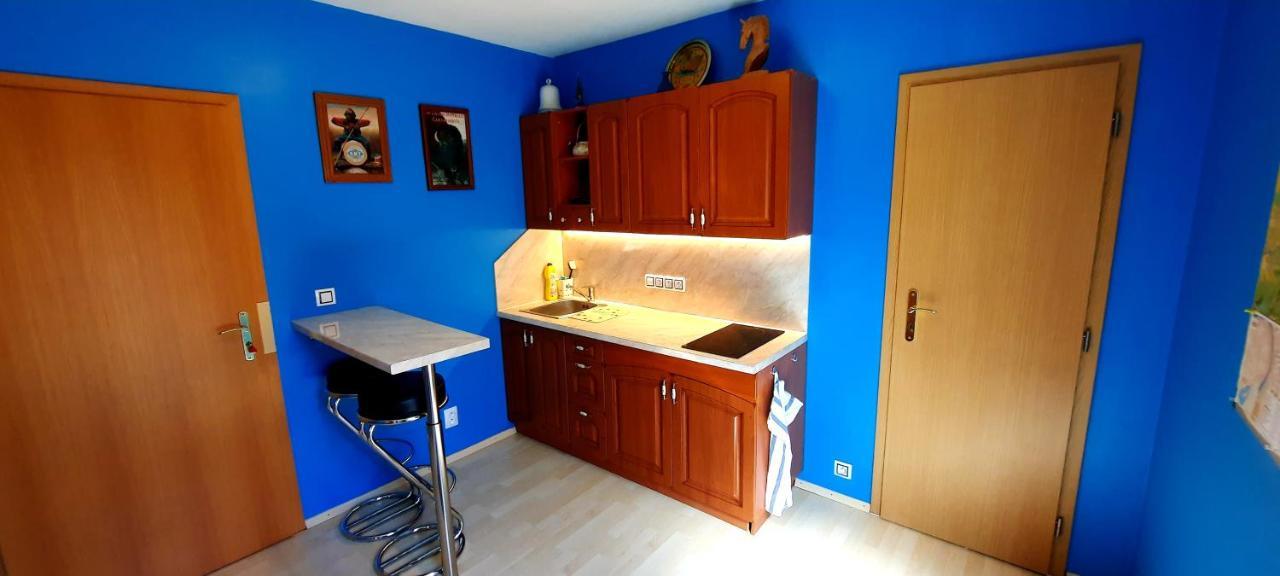 Pool Apartments Karlovy Vary Ngoại thất bức ảnh